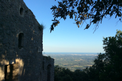 image6