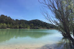 lac
